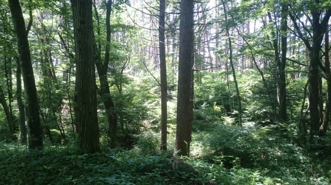 f0006208_14311910.jpg