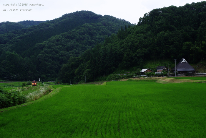 青々とした ローカル鉄道散歩 青々とした ローカル鉄道散歩