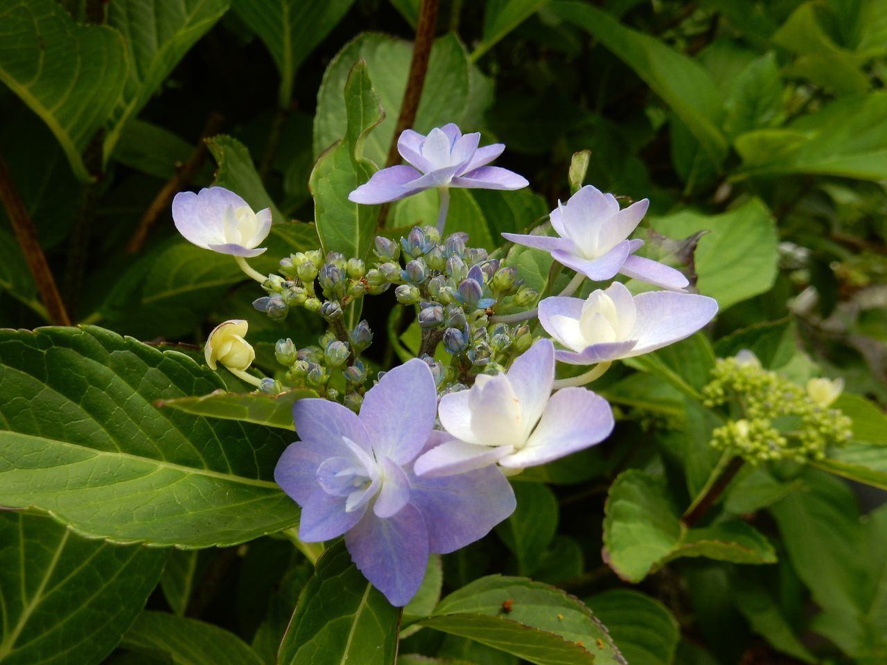 7月18日のtwitter_c0025115_22192707.jpg