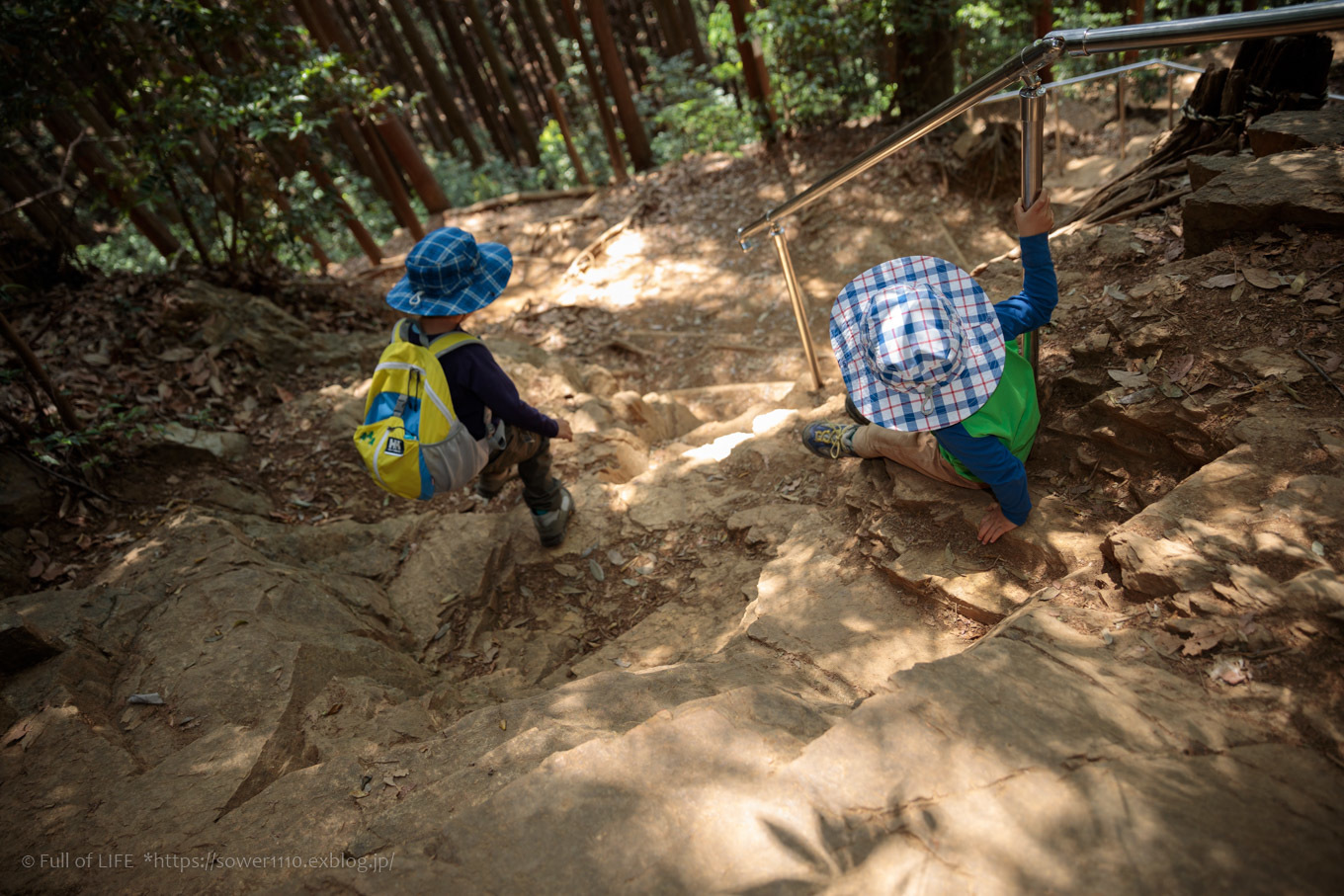 ちびっ子兄弟と5月登山「日和田山」下山編_c0369219_19335277.jpg