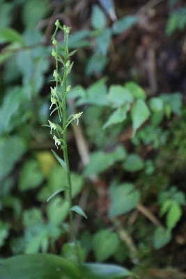 f0193521_42258.jpg