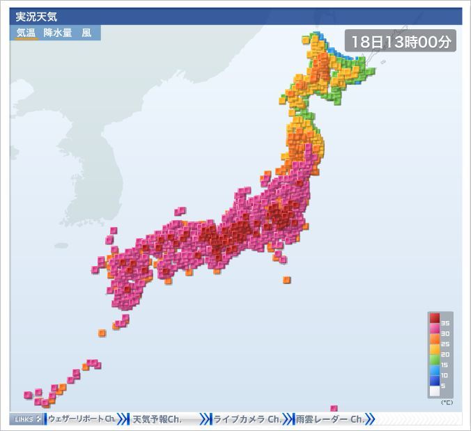 ４０度！？　この先どうなる　唐辛子_d0091323_18314205.jpg