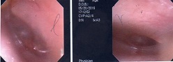 a0082724_15283338.jpg