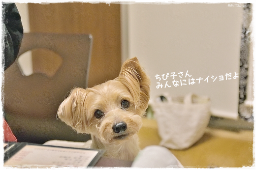d0179828_08190443.png