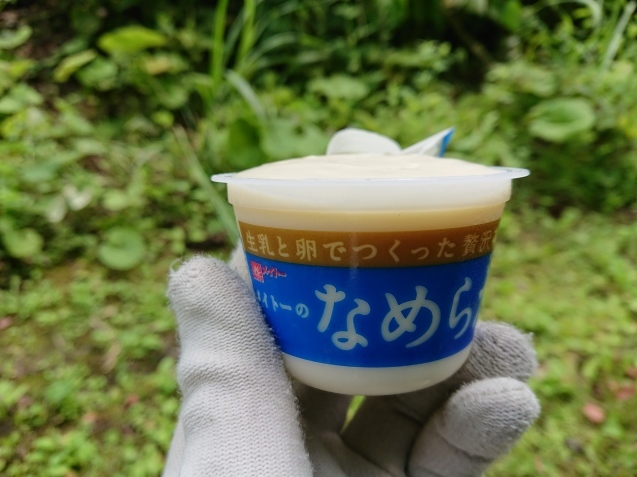 f0118332_19453074.jpg