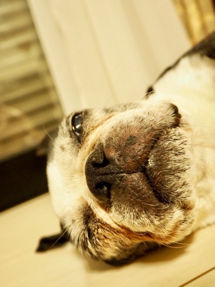 f0238932_18053517.jpeg