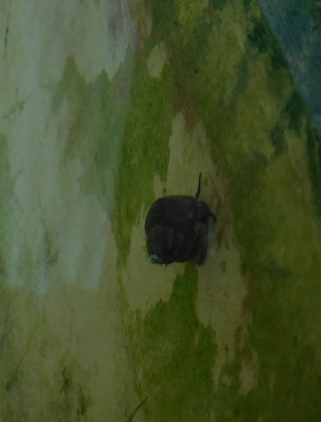 e0097534_1558389.jpg