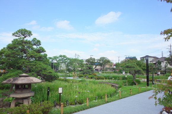 亀有からぶらぶら その6～堀切菖蒲園_a0287336_21204562.jpg