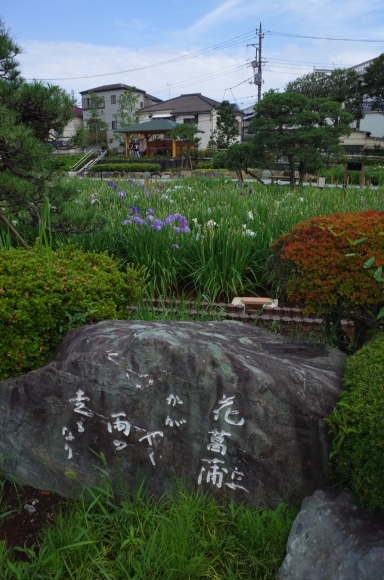 亀有からぶらぶら その6～堀切菖蒲園_a0287336_21213274.jpg