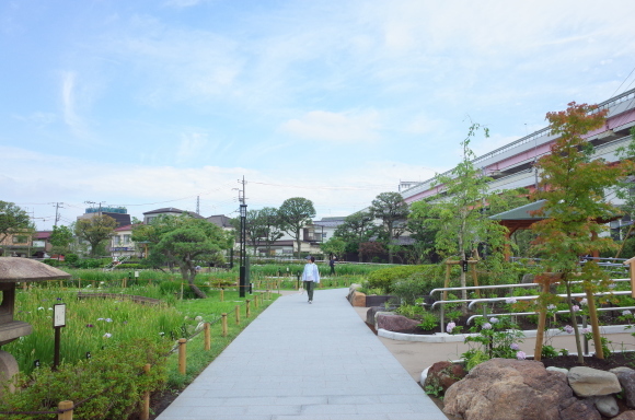 亀有からぶらぶら その6～堀切菖蒲園_a0287336_21223475.jpg