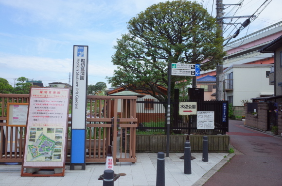 亀有からぶらぶら その6～堀切菖蒲園_a0287336_21224274.jpg