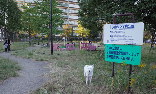 a0117039_20412891.jpg