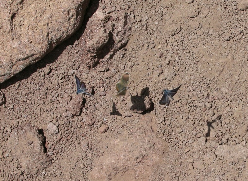 d0361041_19535089.jpg