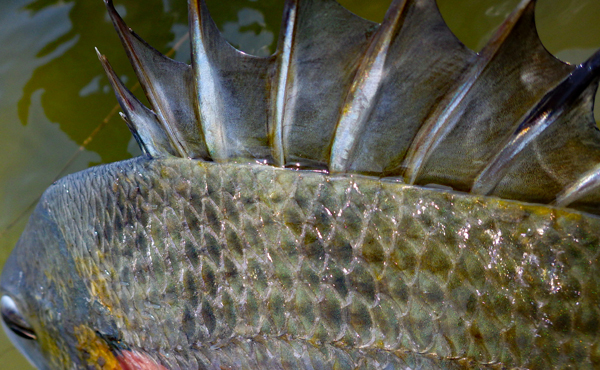 f0055244_13123652.jpg