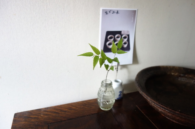 タンクトップの上に着るはおりもの_d0101846_08210288.jpeg