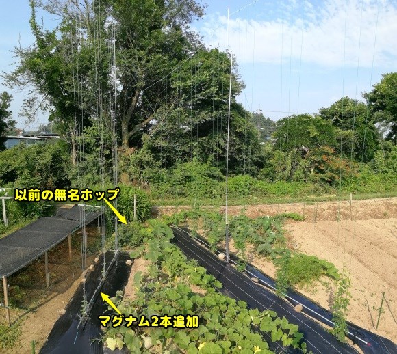 c0063348_15562371.jpg