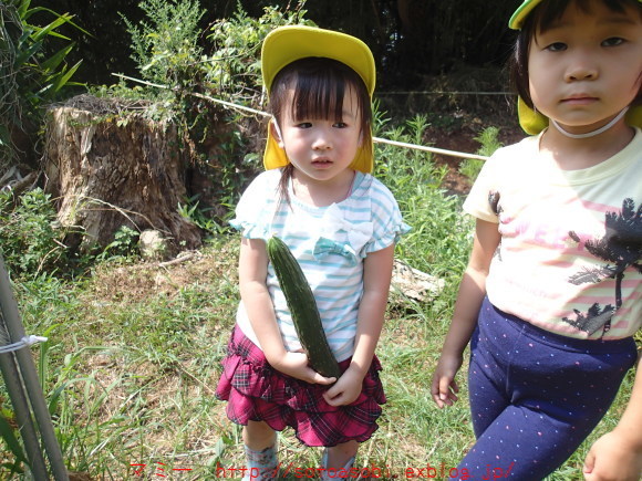 d0105749_13400660.jpg