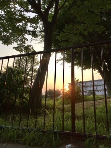 b0307951_22004168.jpeg