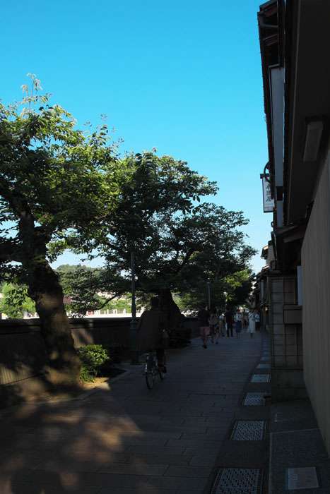 #1186 主計町茶屋街_d0342652_16272884.jpg