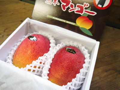 樹上完熟アップルマンゴー 最高級の「煌」&お求めやすいファミリータイプ 最盛期を迎え随時出荷中!_a0254656_19122909.jpg