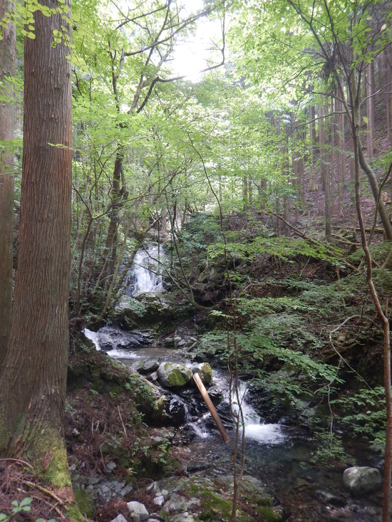 三峰山　納涼登山_d0231858_6455694.jpg