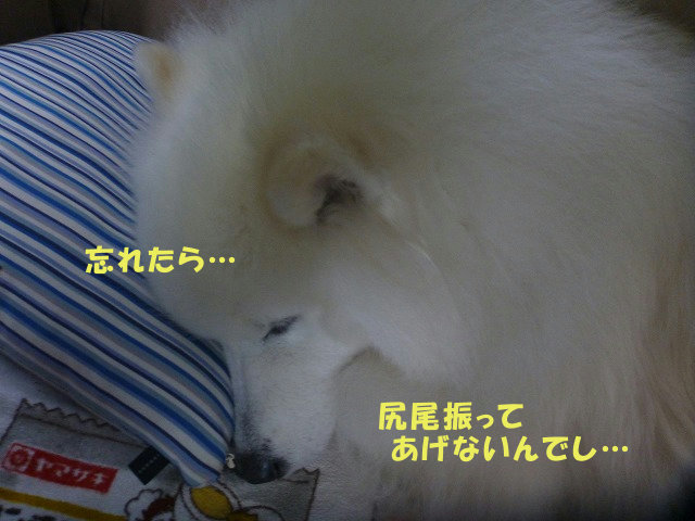 e0176159_15175081.jpg
