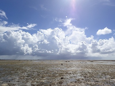 c0180460_15153598.jpg