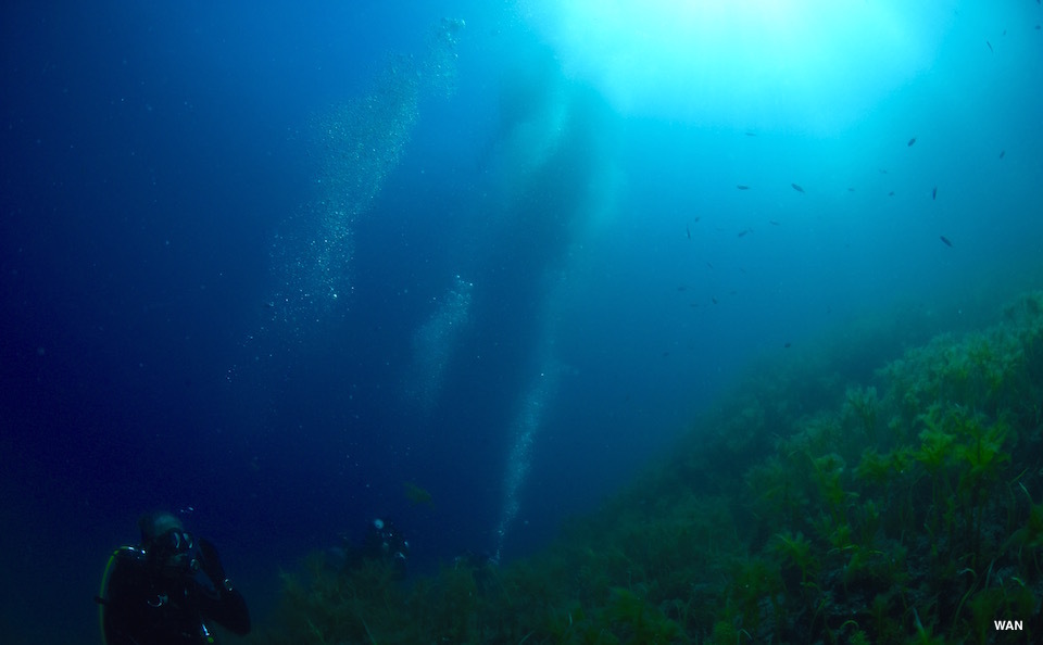 なつのたけの☆竹野_e0158261_15384161.jpg