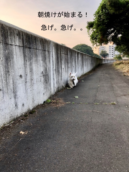 f0363961_14340086.jpeg