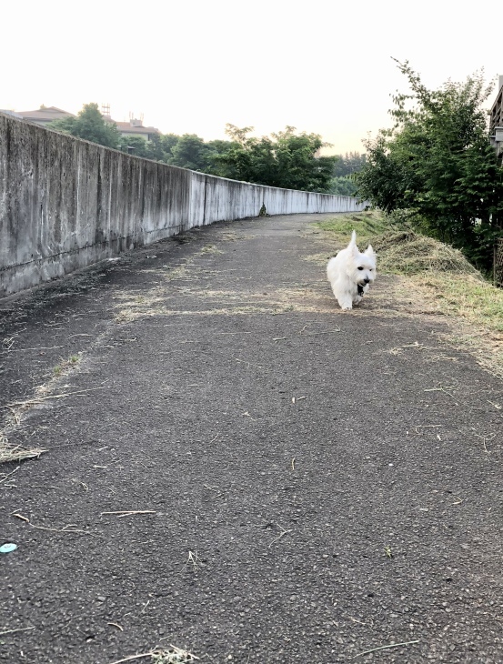 f0363961_14353480.jpeg