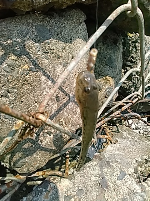 そろそろ戻ります。_c0160368_16392551.jpg