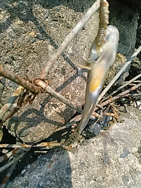 そろそろ戻ります。_c0160368_16394105.jpg