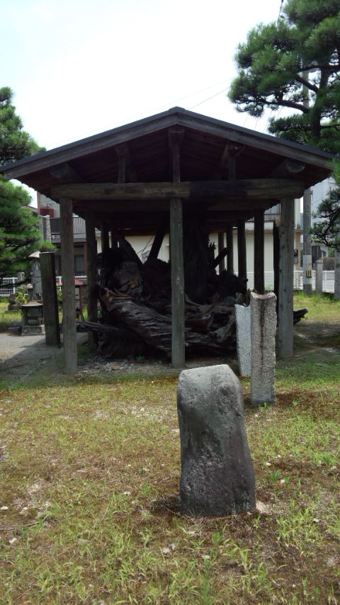 b0018469_1931223.jpg