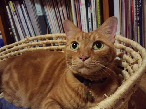 f0367170_20172601.jpg
