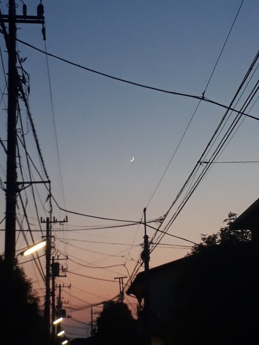 純粋日記(twitterまとめ)スマホらくがき、海の日など;2018/7/10-16_b0116271_12301275.jpg