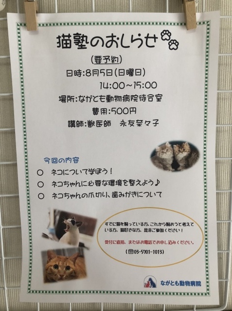 猫塾のお知らせ_e0367571_12525722.jpg