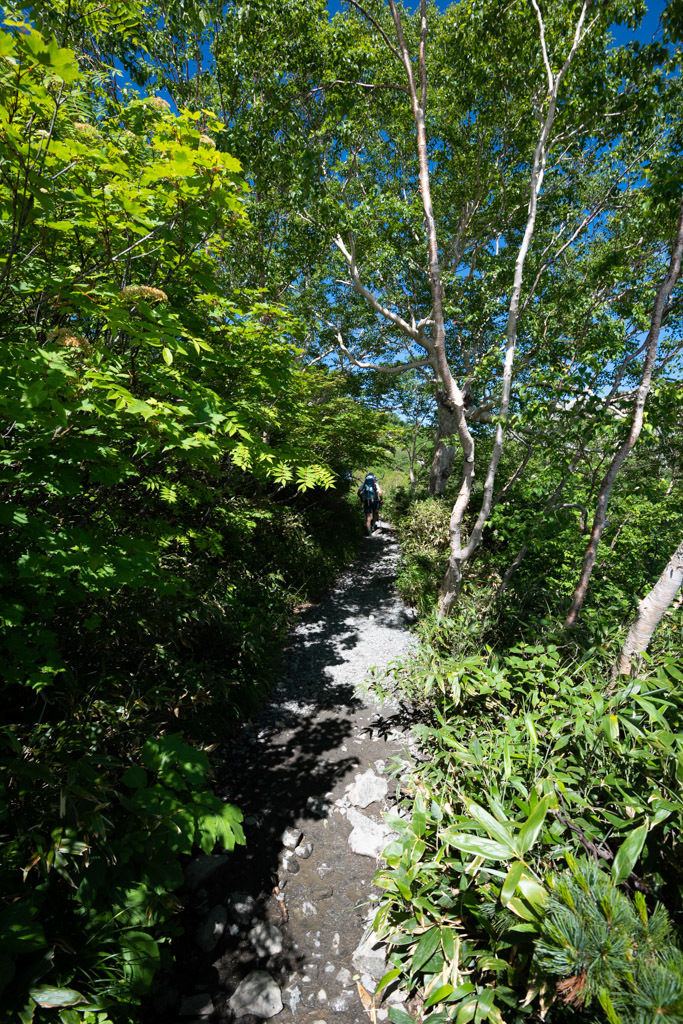 b0247073_22450695.jpg