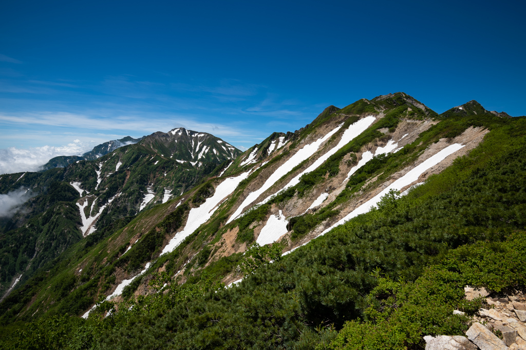 b0247073_22455294.jpg