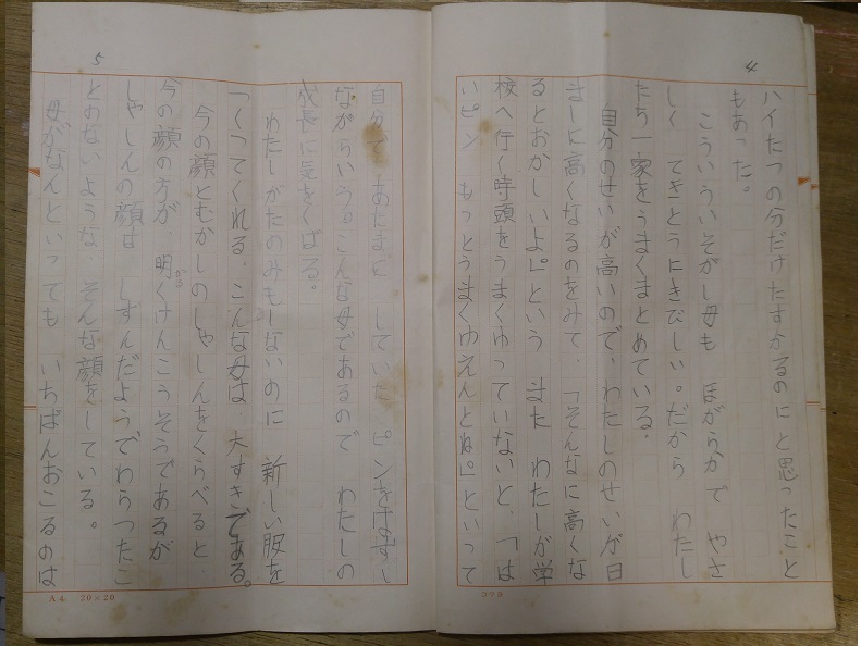 「わたしの家族」2　若き母と父の姿_b0019674_15394654.jpg