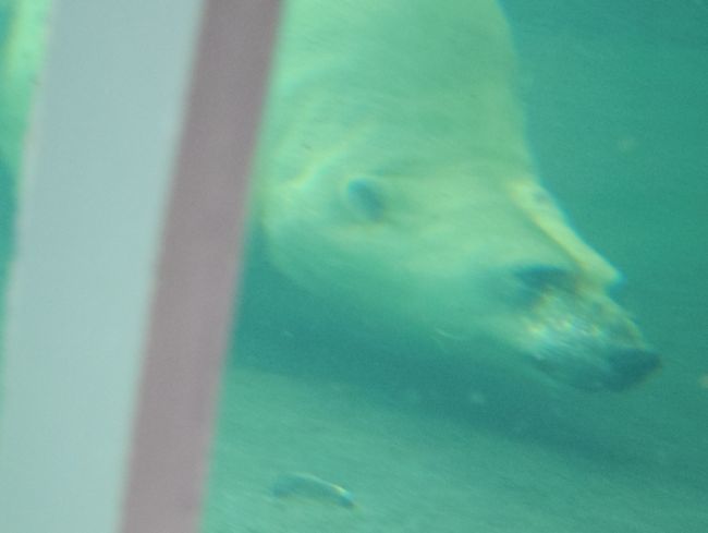 b0014576_18103251.jpg