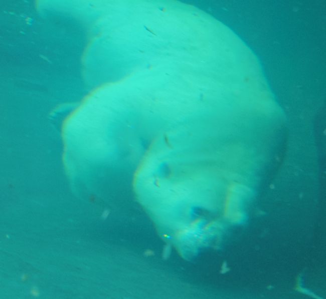 b0014576_18103641.jpg