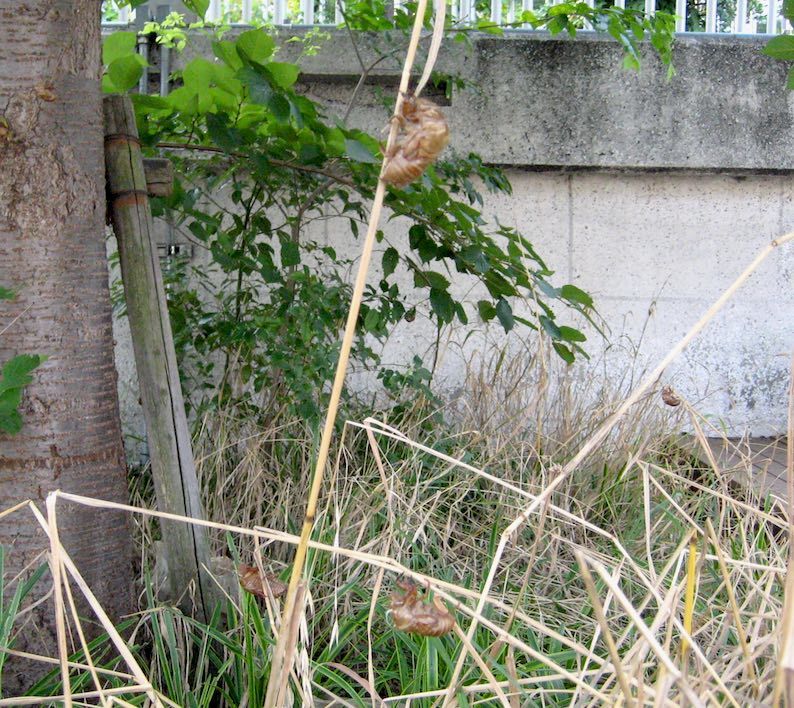 b0057679_08410738.jpg