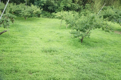 d0179679_13184436.jpg