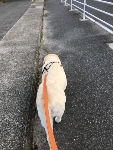f0315081_22114648.jpeg