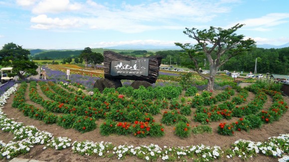 望岳台　美瑛　キトウシキャンプ場　30日目_c0212083_18003751.jpg