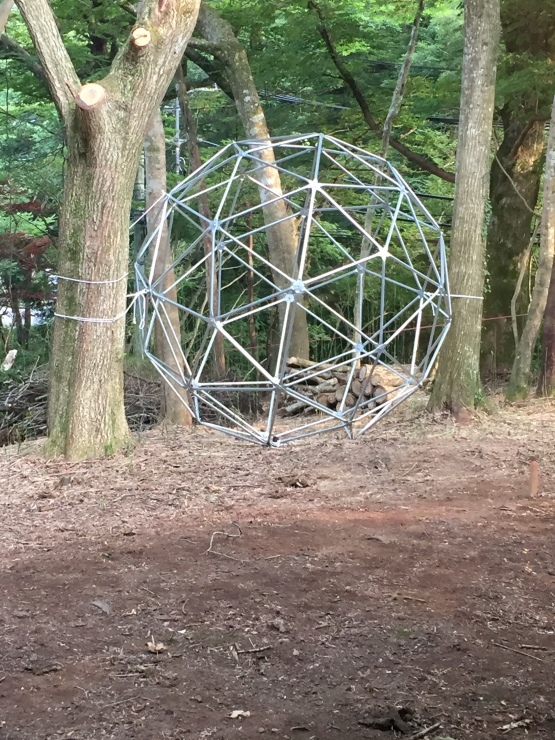 2018年7月18日 これって何？_b0098584_18002028.jpeg