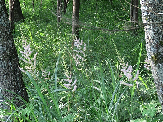 f0357487_21251907.jpg