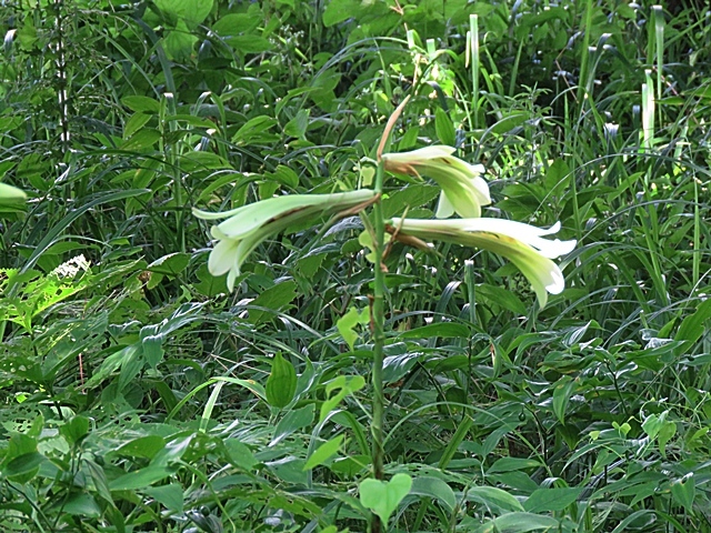 f0357487_21270273.jpg