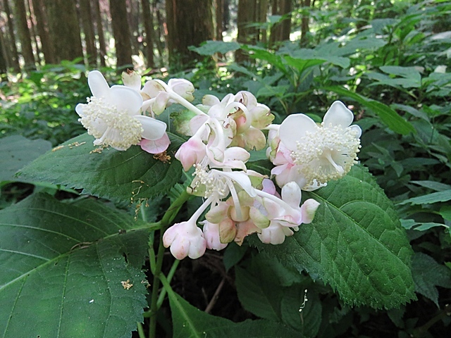 f0357487_21320060.jpg