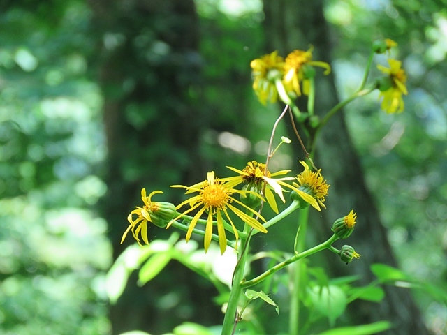 f0357487_21370030.jpg